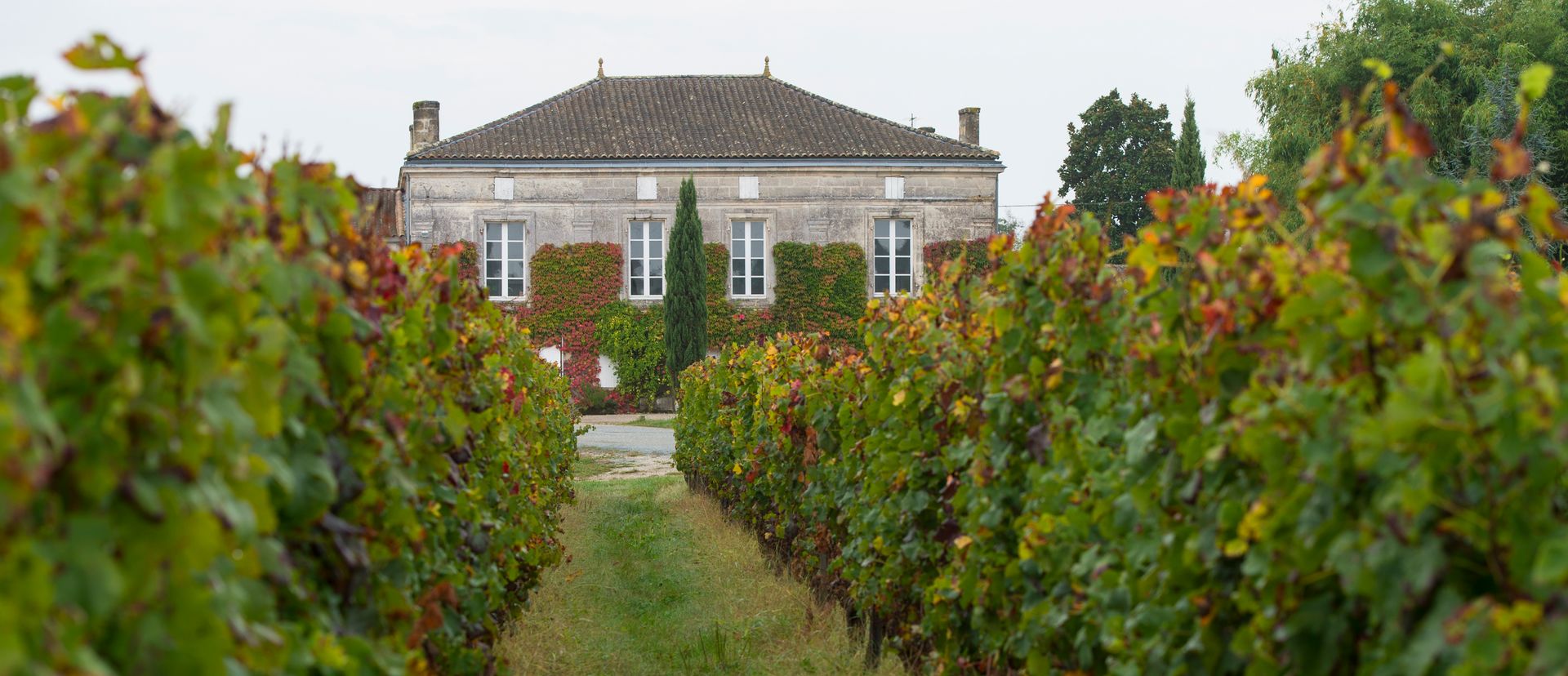 Vue du Château Fougas, Cotes de Bourg Bio et en Biodynamie