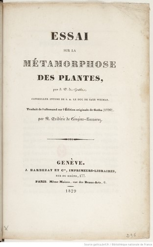 Goethe & « la métamorphose des plantes »
